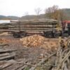 CHÂTAIGNIER EN GRUME – CAMION DE 50 STÈRES