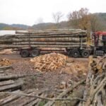 CHÂTAIGNIER EN GRUME – CAMION DE 50 STÈRES