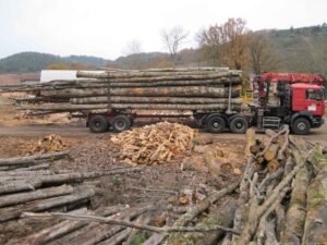 CHÂTAIGNIER EN GRUME – CAMION DE 50 STÈRES CHÂTAIGNIER EN GRUME – CAMION DE 50 STÈRES