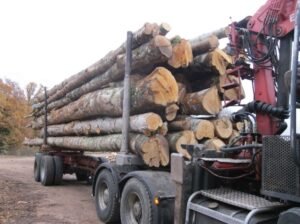 HÊTRE EN GRUME – CAMION DE 25 STÈRES