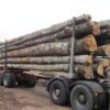 Camion de 30 stères Hêtre Chêne Charme en grume